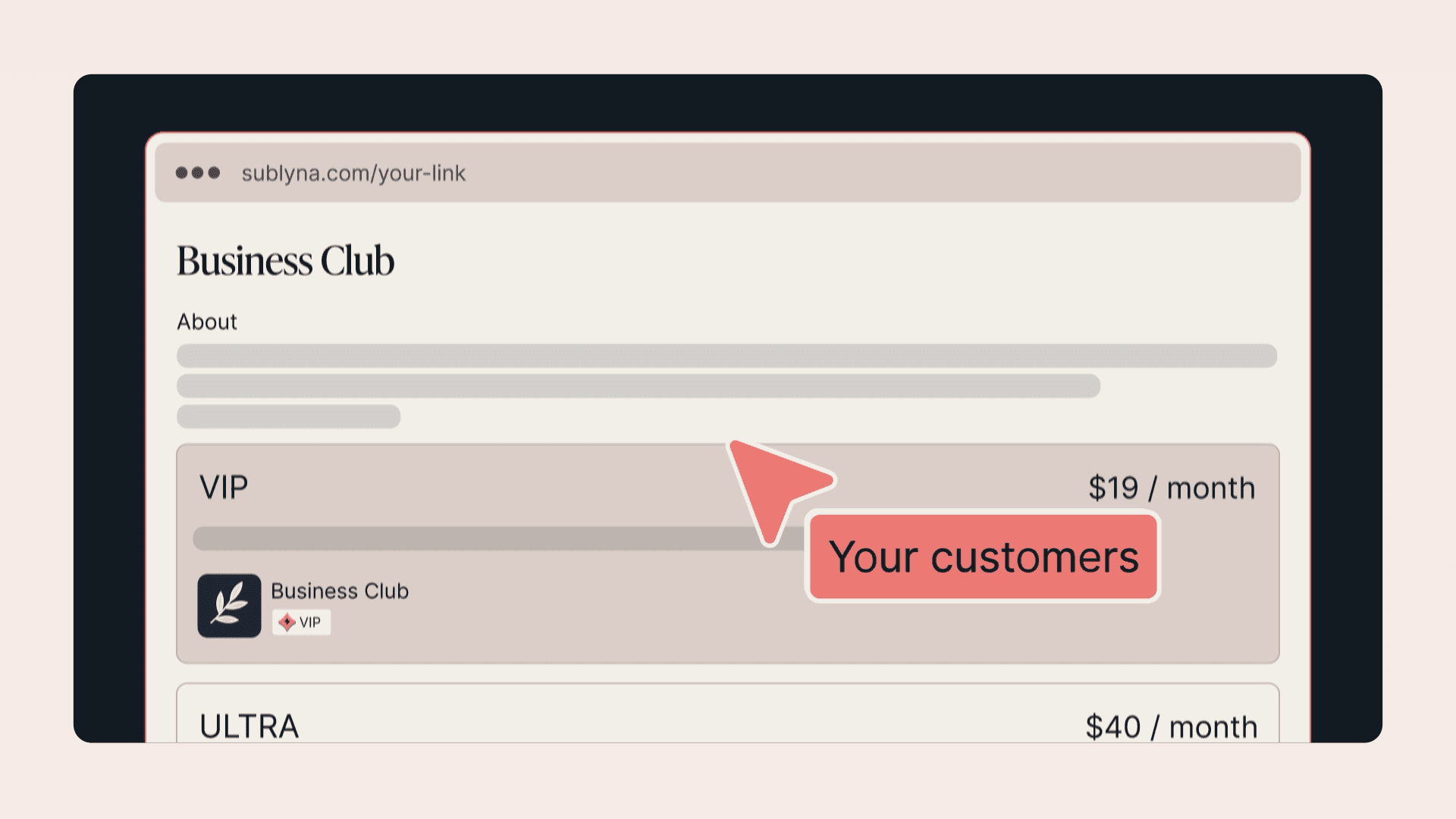 Image du projet Sublyna